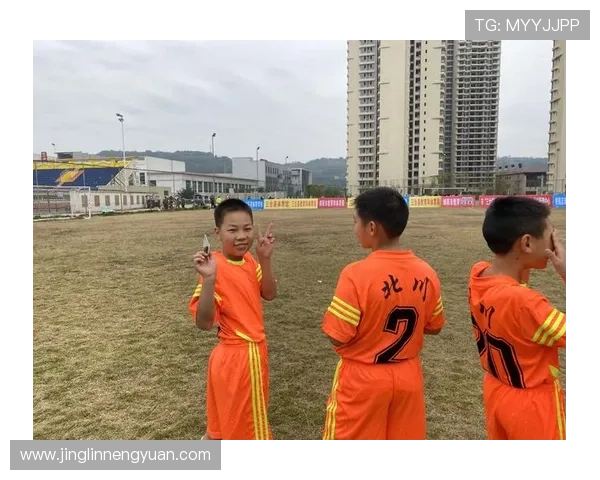 追逐绿茵梦想的脚步足球明星的心声与奋斗故事